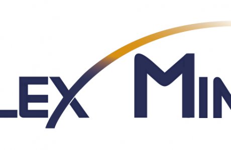 Logo Flexmind