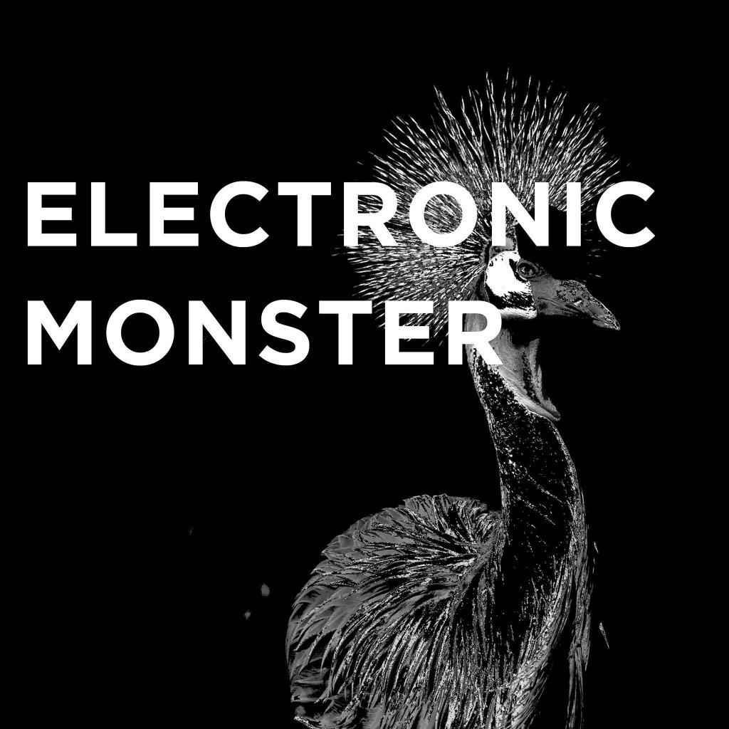 Electronic Monster